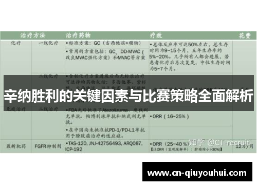 辛纳胜利的关键因素与比赛策略全面解析