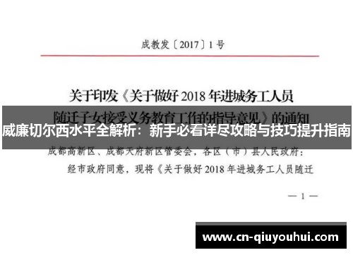 威廉切尔西水平全解析：新手必看详尽攻略与技巧提升指南
