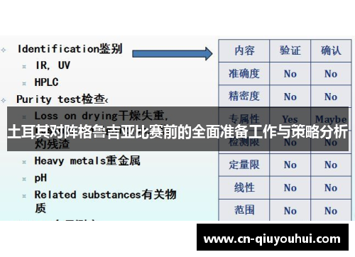 土耳其对阵格鲁吉亚比赛前的全面准备工作与策略分析